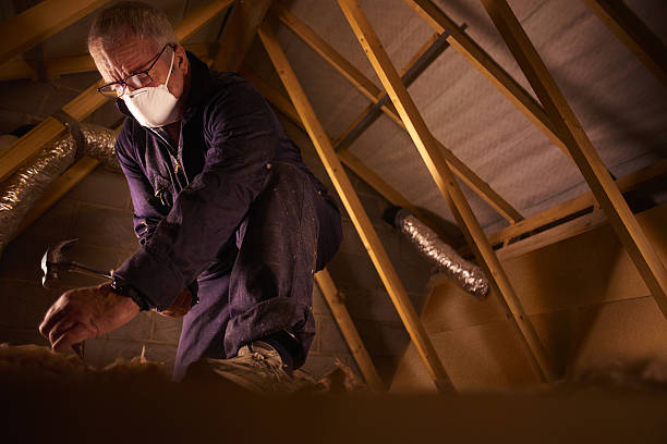 Best Residential Insulation in Collegedale, TN